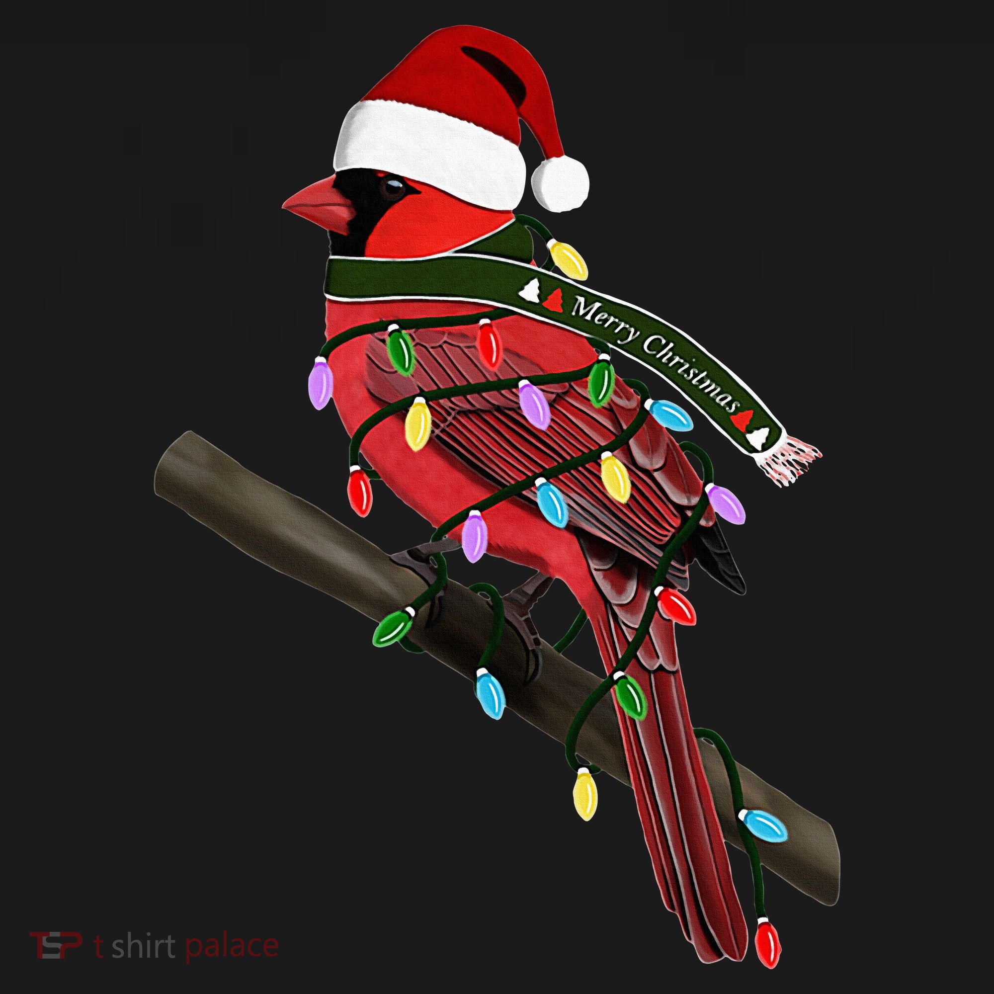 Cardinal Christmas Bird Santa Claus Biologist Animal Bucket Hat