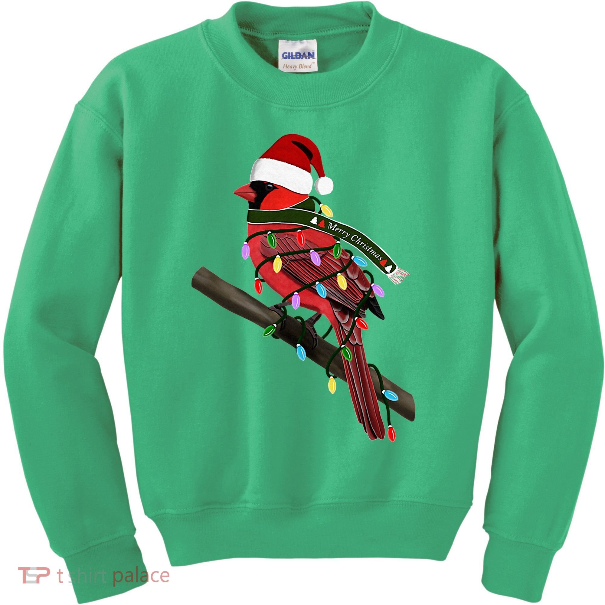Cardinal Christmas Bird Santa Claus Biologist Animal Kids Sweatshirt
