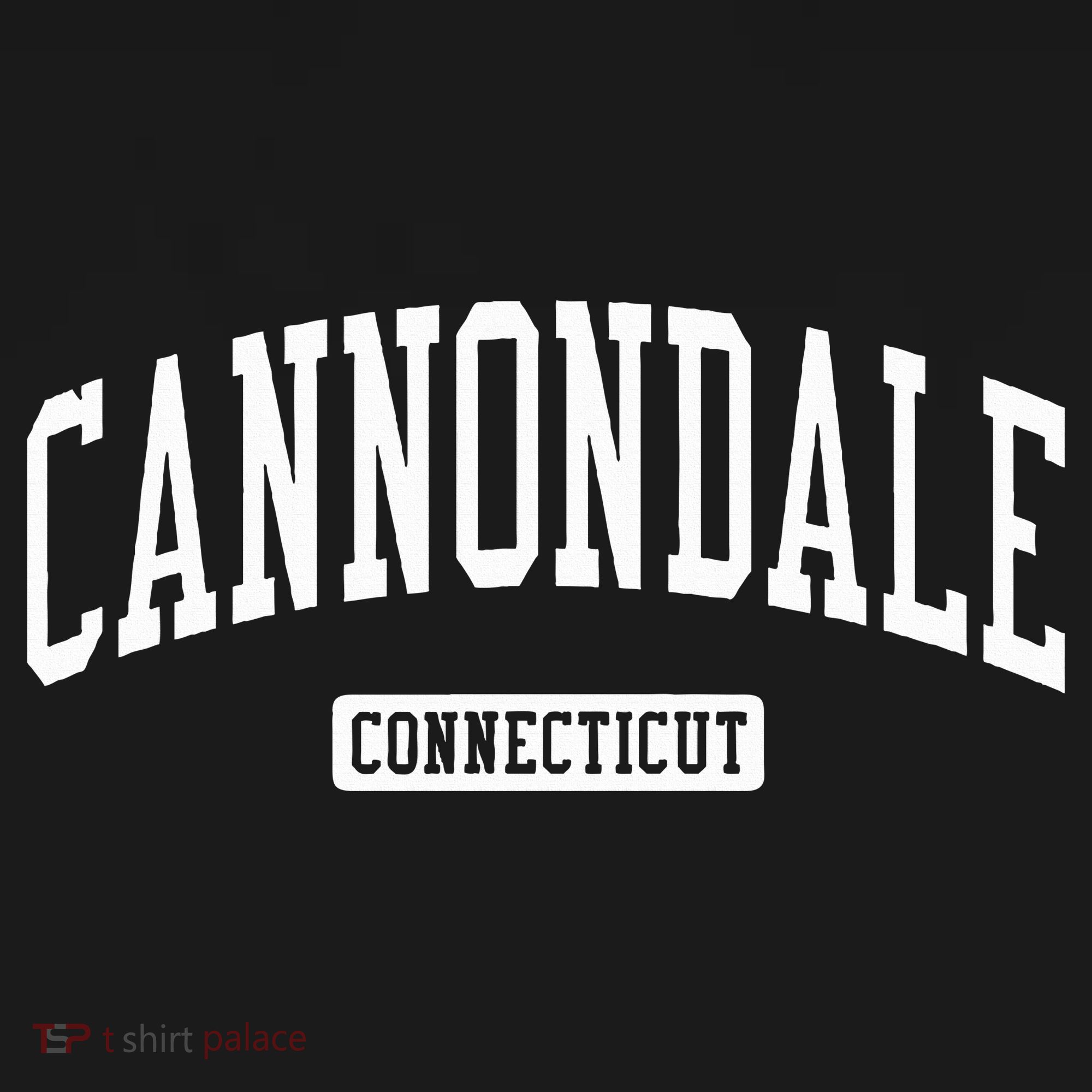 Cannondale Connecticut Ct Vintage Athletic Sports T-Shirt