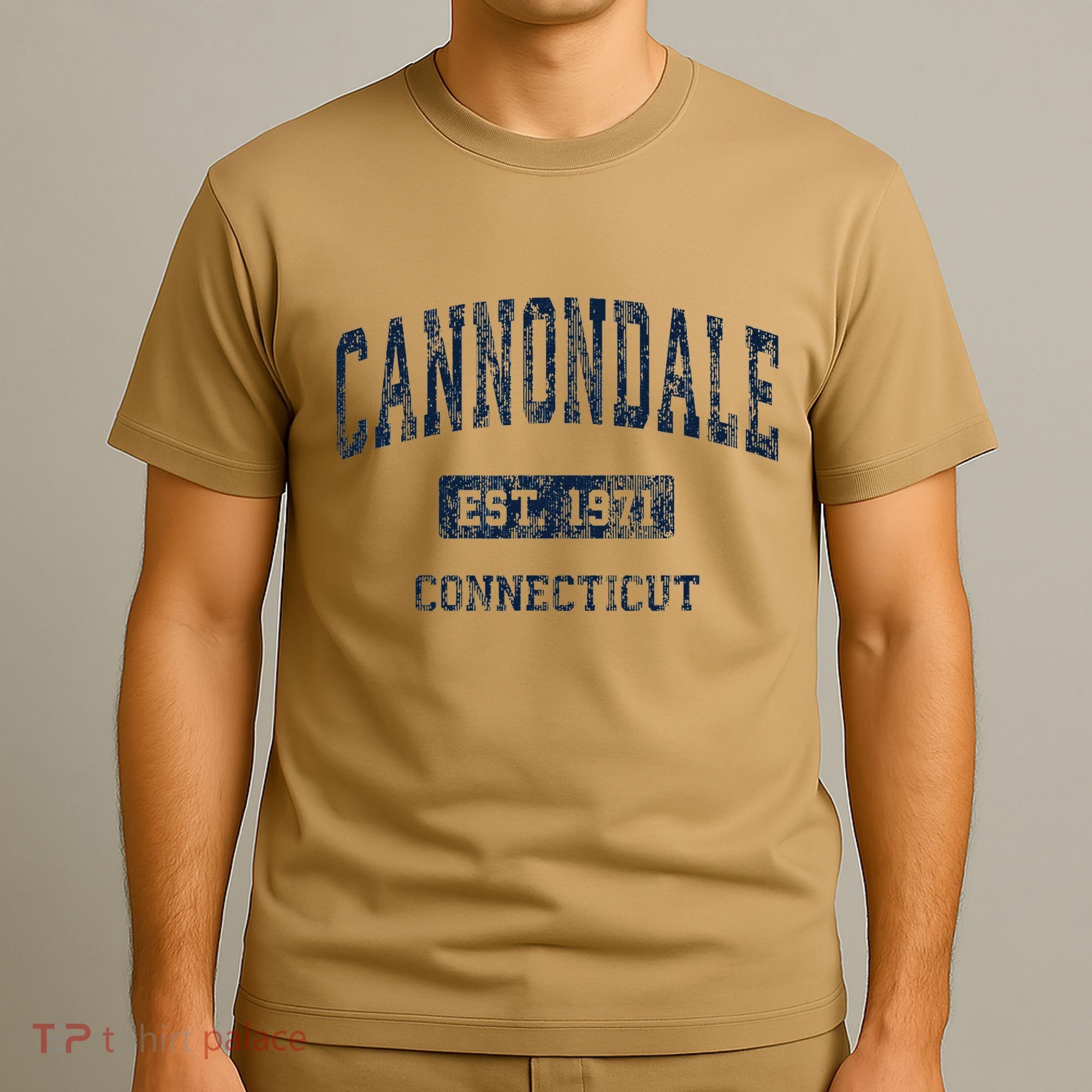 Cannondale Connecticut Ct Vintage Athletic Sports T-Shirt