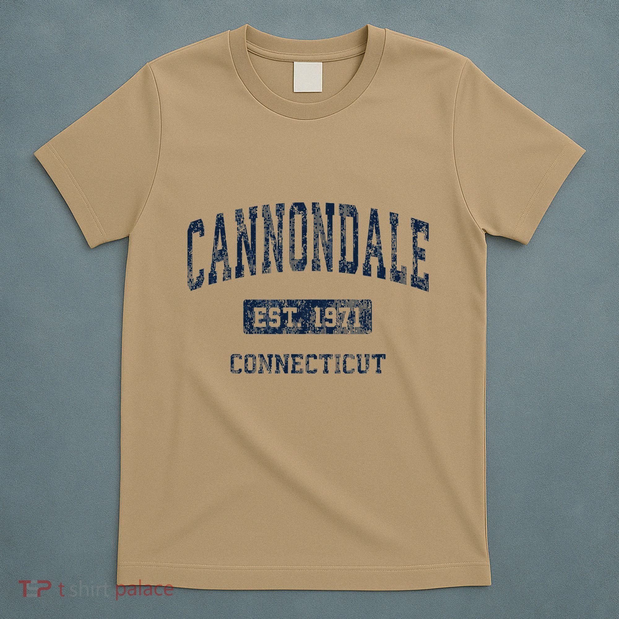 Cannondale Connecticut Ct Vintage Athletic Sports T-Shirt