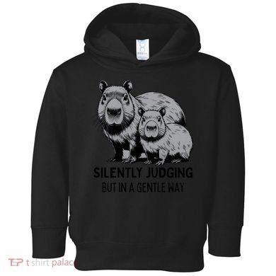 Cat Chaos Toddler Hoodie