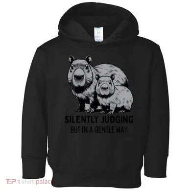 Cat Chaos Toddler Hoodie