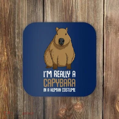 Coaster