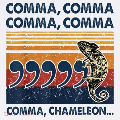 Comma Comma Chameleon Funny Grammar English Teacher Women's Hoodie