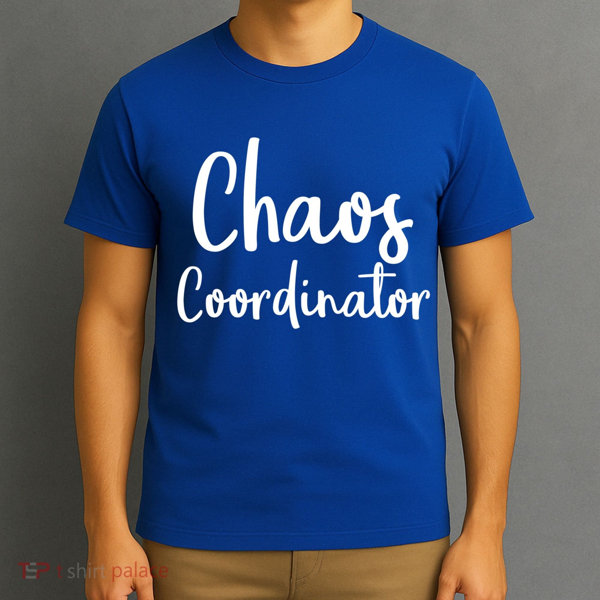 Chaos Coordinator Cool Gift Chaos Coordinator Funny Gift T-Shirt