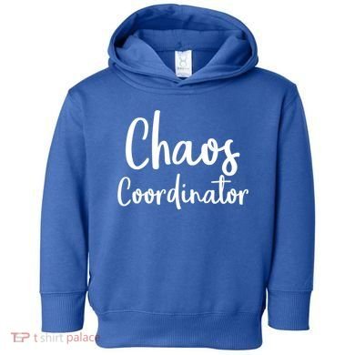 Chaos Coordinator Cool Gift Chaos Coordinator Funny Gift Toddler Hoodie