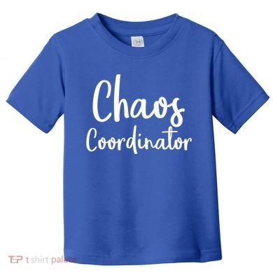 Chaos Coordinator Cool Gift Chaos Coordinator Funny Gift Toddler T-Shirt