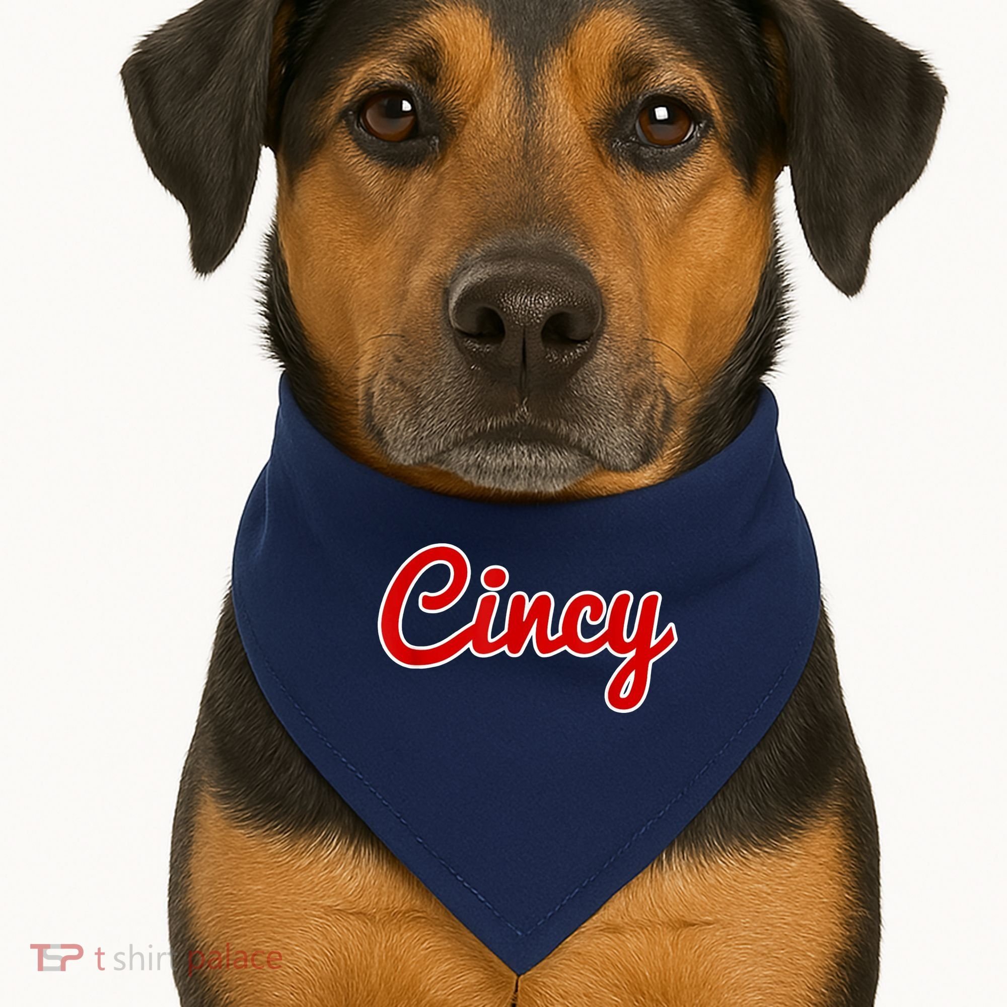 Cincy Cincinnati USA-Made Doggie Bandana