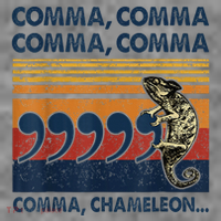 Comma Comma Chameleon Funny Grammar English Teacher Toddler Hoodie thumb 2