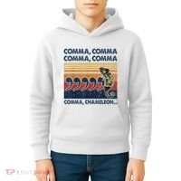 Comma Comma Chameleon Funny Grammar English Teacher Kids Hoodie thumb 4