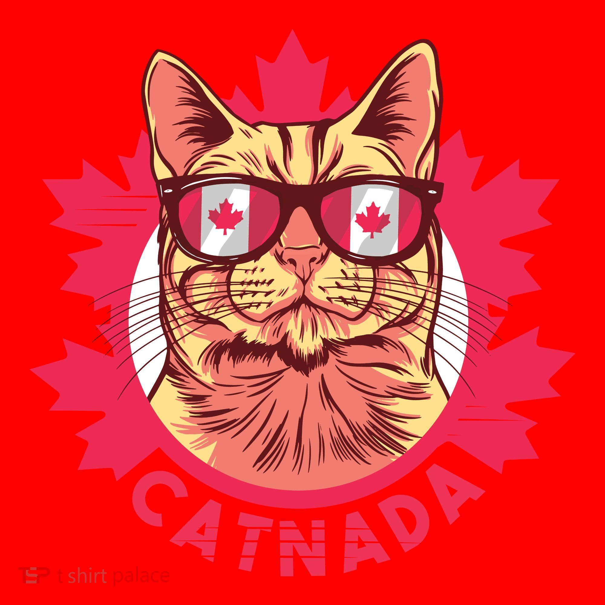 Canadian Cat Santa Hat