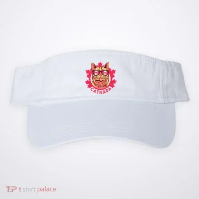 Visor