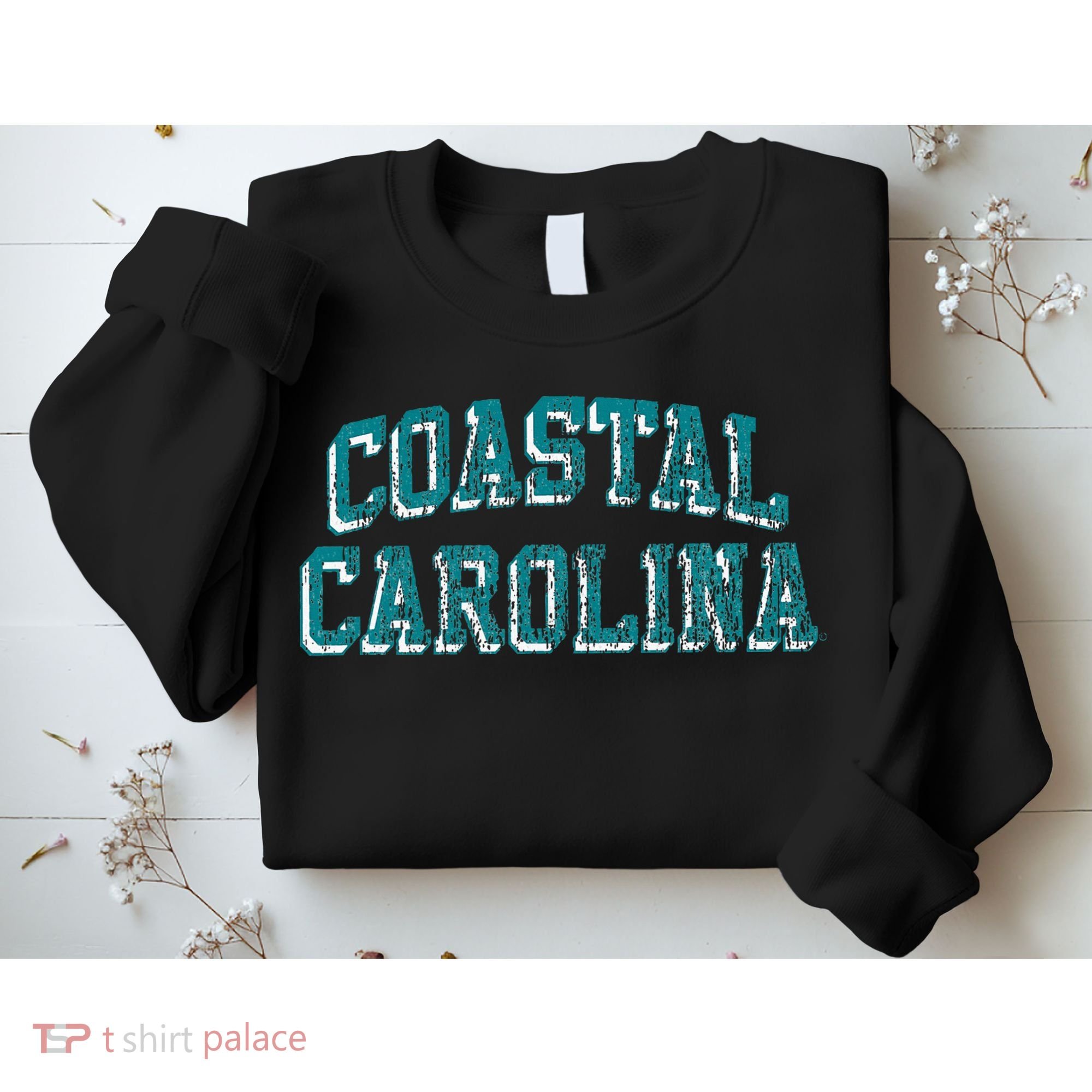 Coastal Carolina Chanticleers Retro Arch Logo Sweatshirt