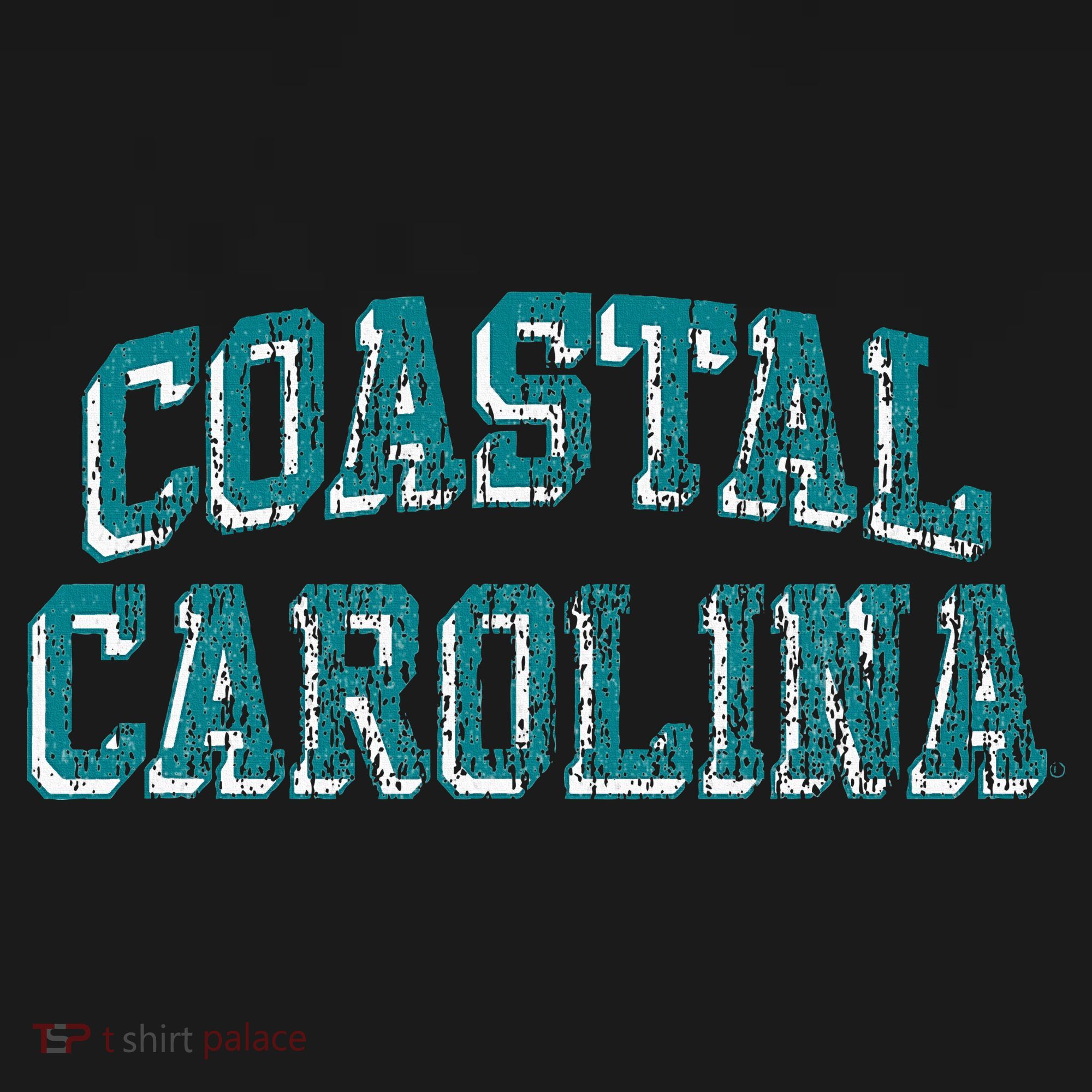 Coastal Carolina Chanticleers Retro Arch Logo Toddler T-Shirt