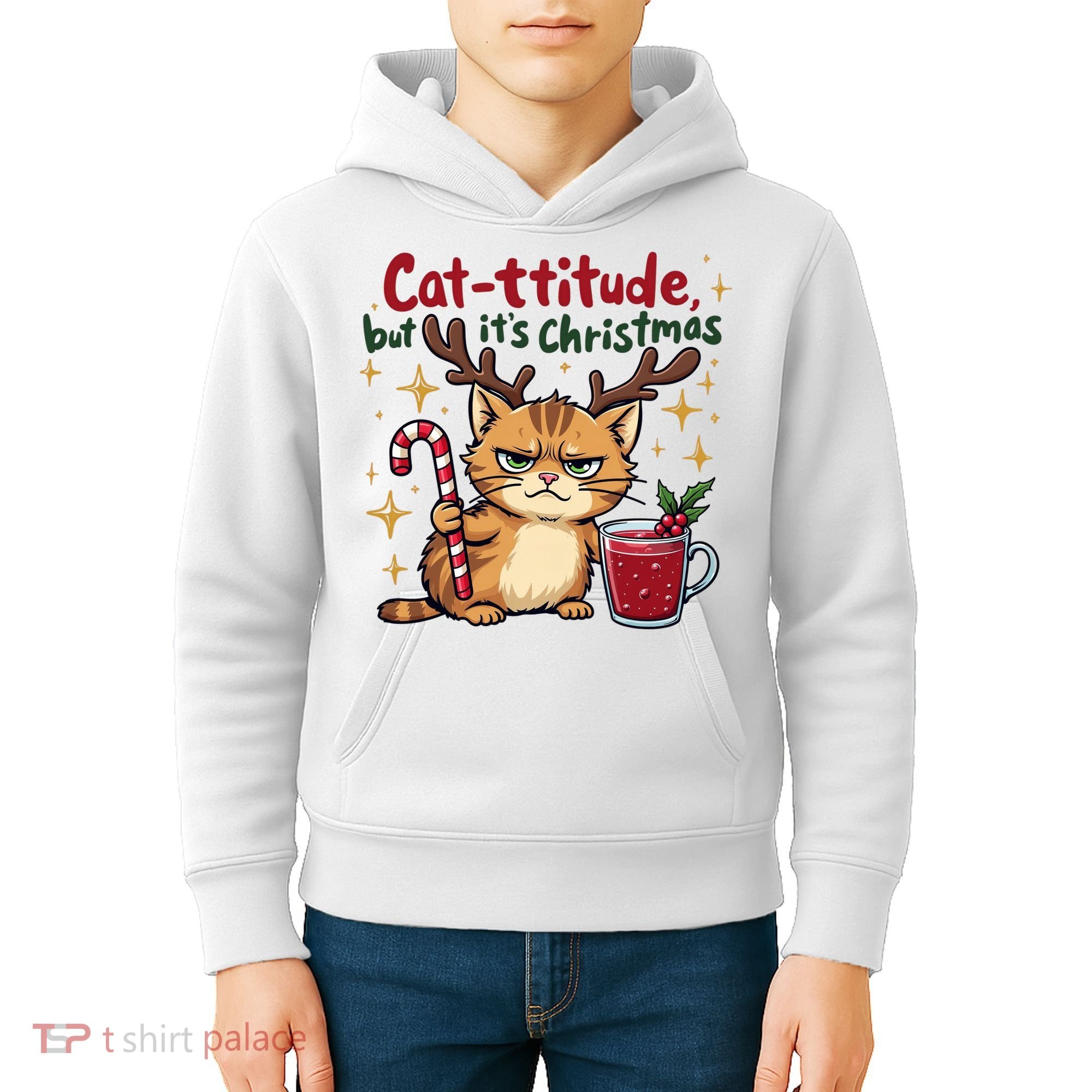 Cat-titude Christmas Cat Grumpy Cattitude Meme Kids Hoodie