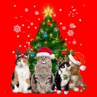 Cute Cat Christmas Tree Cat Lover Xmas Cat Mom Gift Santa Hat thumb 1