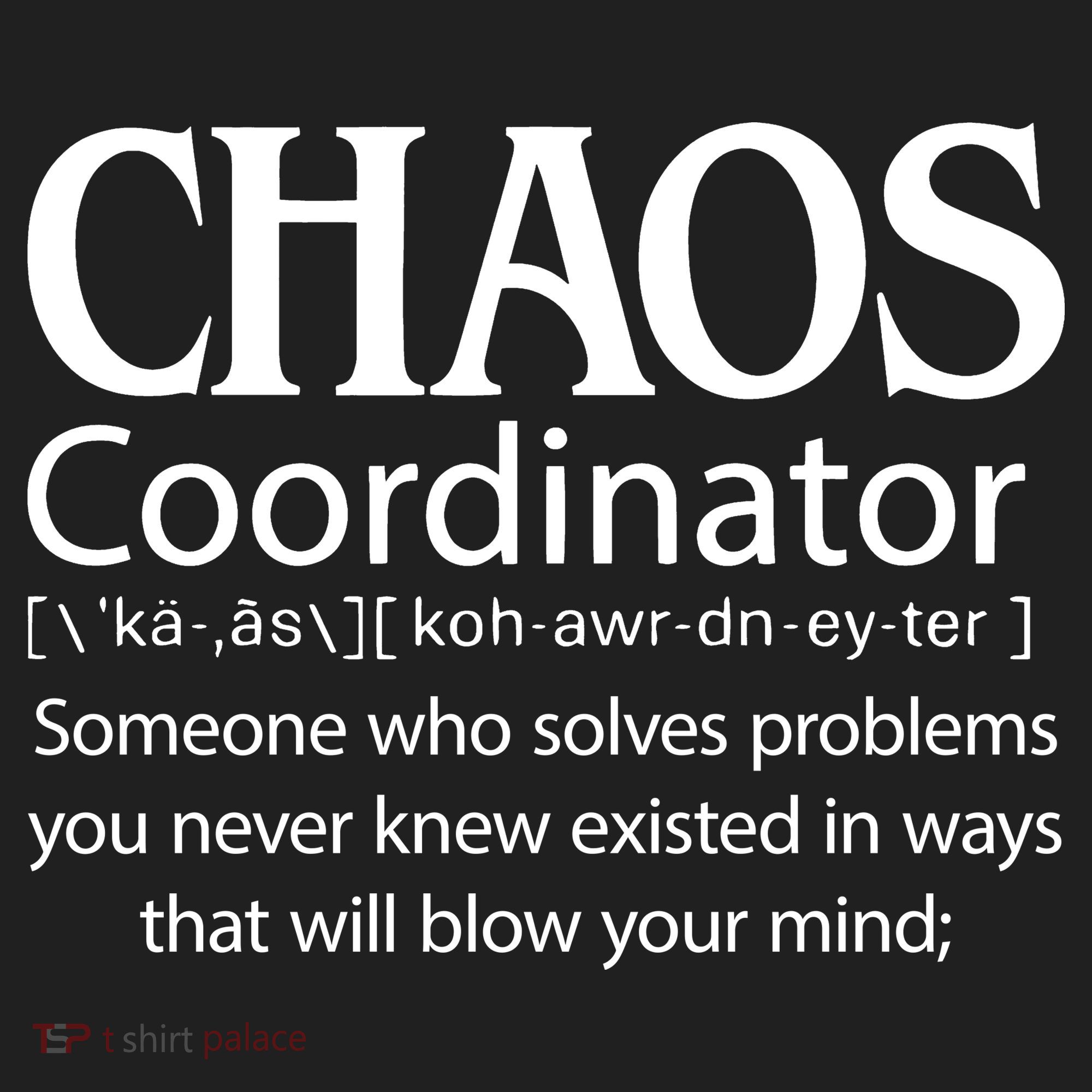 Chaos Coordinator Definition Women's Sweatshirt