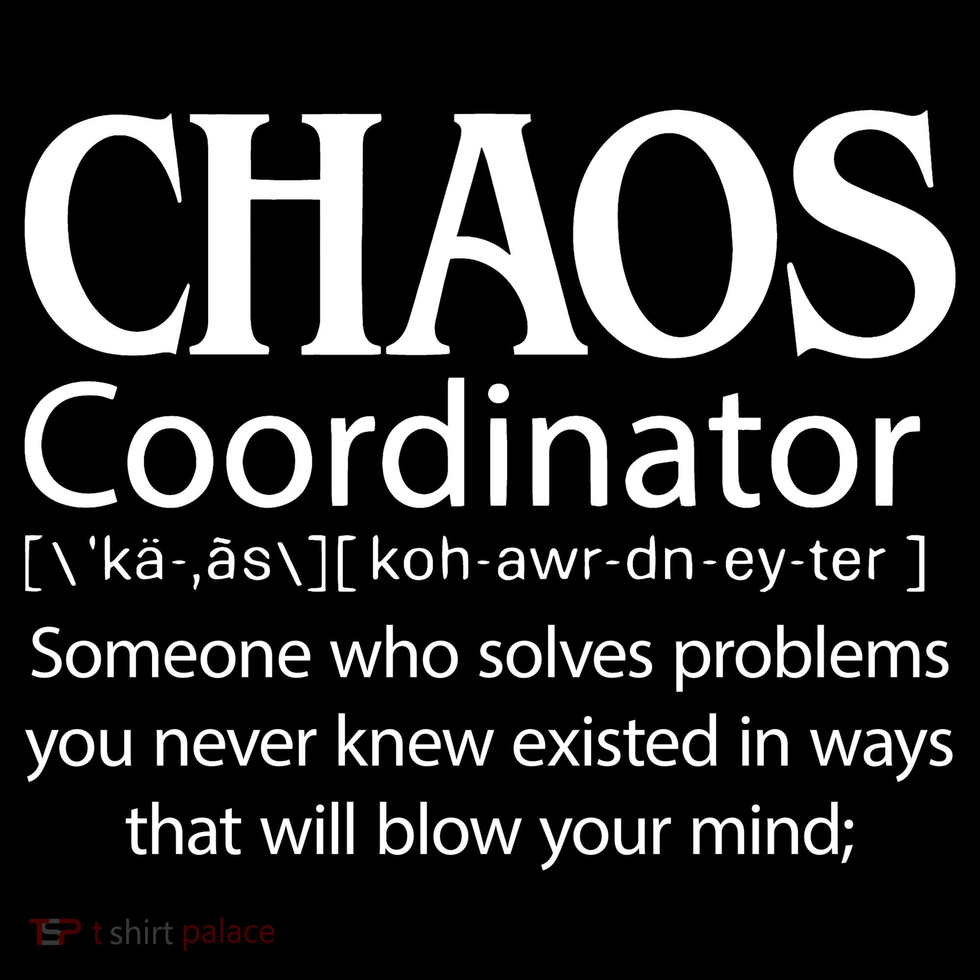 Chaos Coordinator Definition Women's T-Shirt