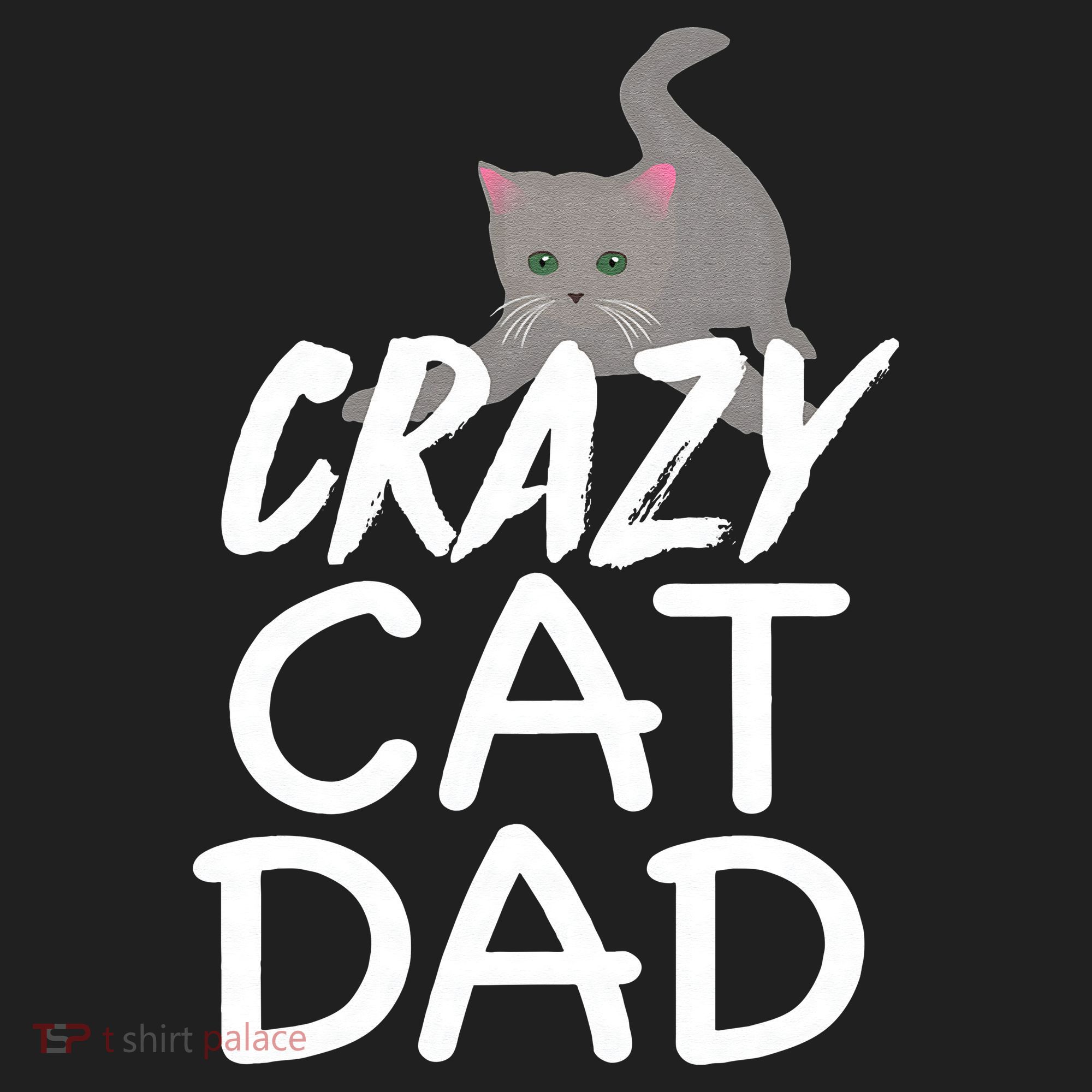 Crazy Cat Dad Funny Fathers Day Kitten Dads Tee Beanie