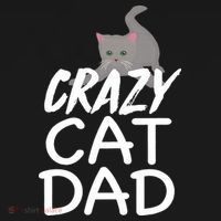 Crazy Cat Dad Funny Fathers Day Kitten Dads Tee Pajama Set thumb 2
