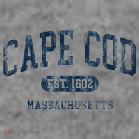 Cape Cod Est 1602 Massachusetts Retro Preppy Throwback Toddler Hoodie thumb 2