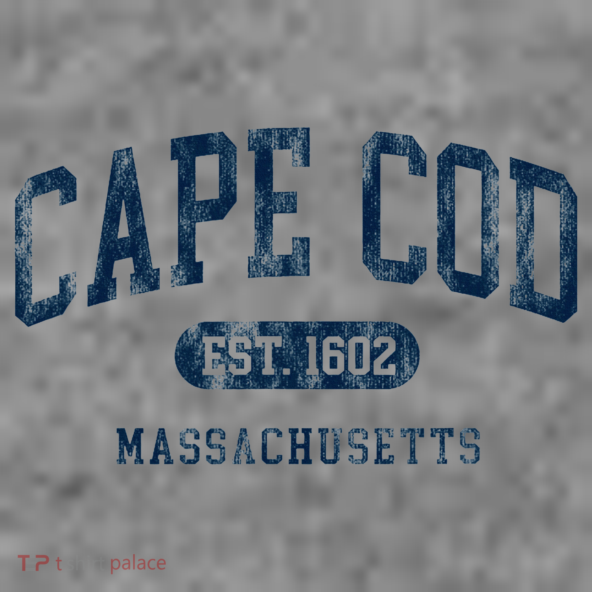 Cape Cod Est 1602 Massachusetts Retro Preppy Throwback Toddler Hoodie