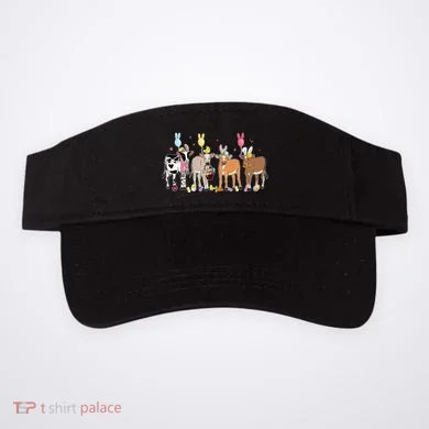 Visor