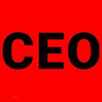 Ceo Chief Executive Officer Highest Ranking Executive Management Of Organization Santa Hat thumb 1
