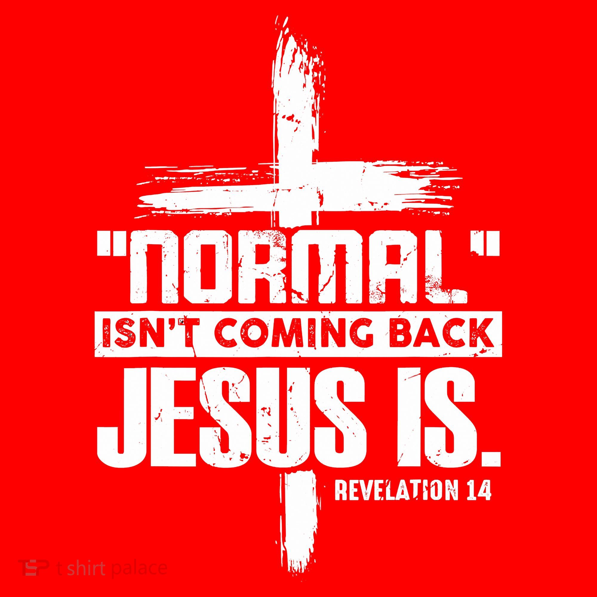 Christian Cross Faith Quote Normal Isn't Coming Back Santa Hat