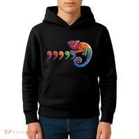 Comma Chameleon Funny 80S Throwback The Original Kids Hoodie thumb 4