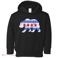 Chicago City Flag Distressed Bear Gift Toddler Hoodie thumb 0