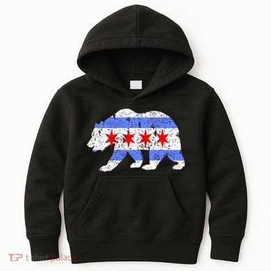 Chicago City Flag Distressed Bear Gift Kids Hoodie