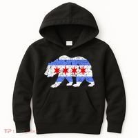 Chicago City Flag Distressed Bear Gift Kids Hoodie thumb 0