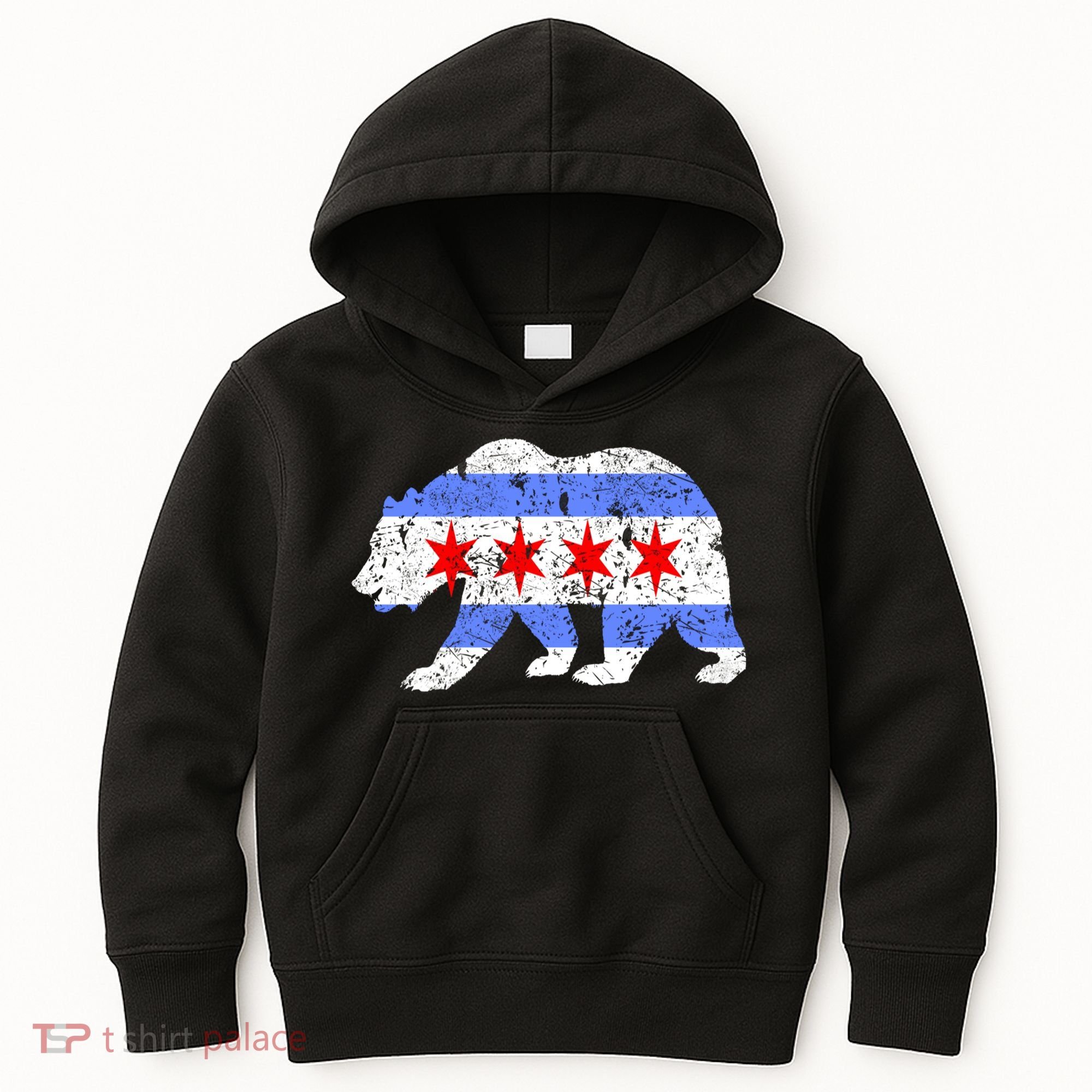 Chicago City Flag Distressed Bear Gift Kids Hoodie
