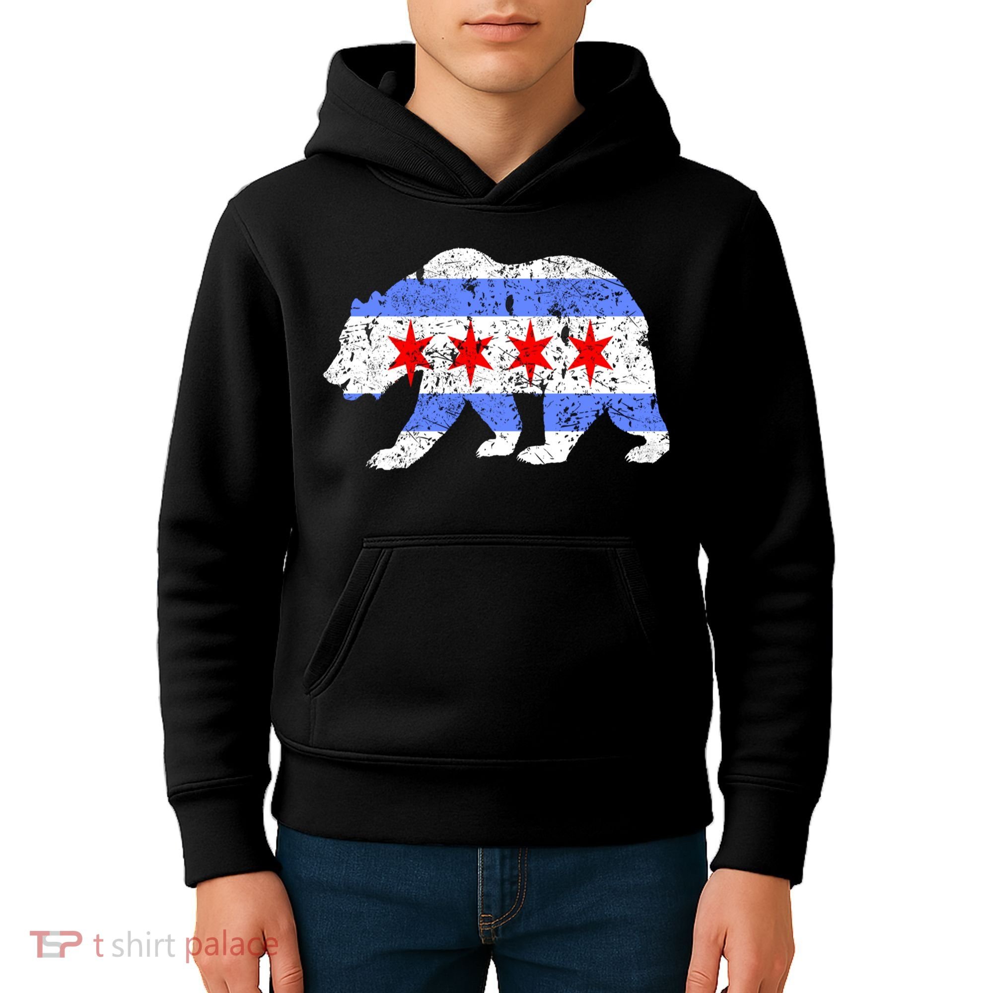 Chicago City Flag Distressed Bear Gift Kids Hoodie