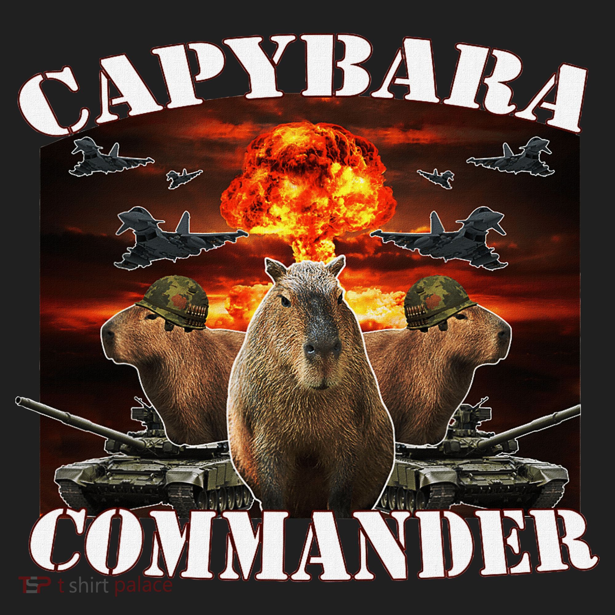Capybara Commander Funny Capybara Warrior Beanie
