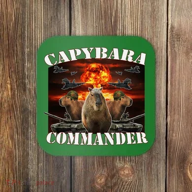 Capybara Commander Funny Capybara Warrior Coaster