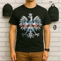 Cool Chicago Flag Polish Eagle Funny Illinois Emblem T-Shirt thumb 6