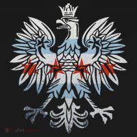 Cool Chicago Flag Polish Eagle Funny Illinois Emblem T-Shirt thumb 7