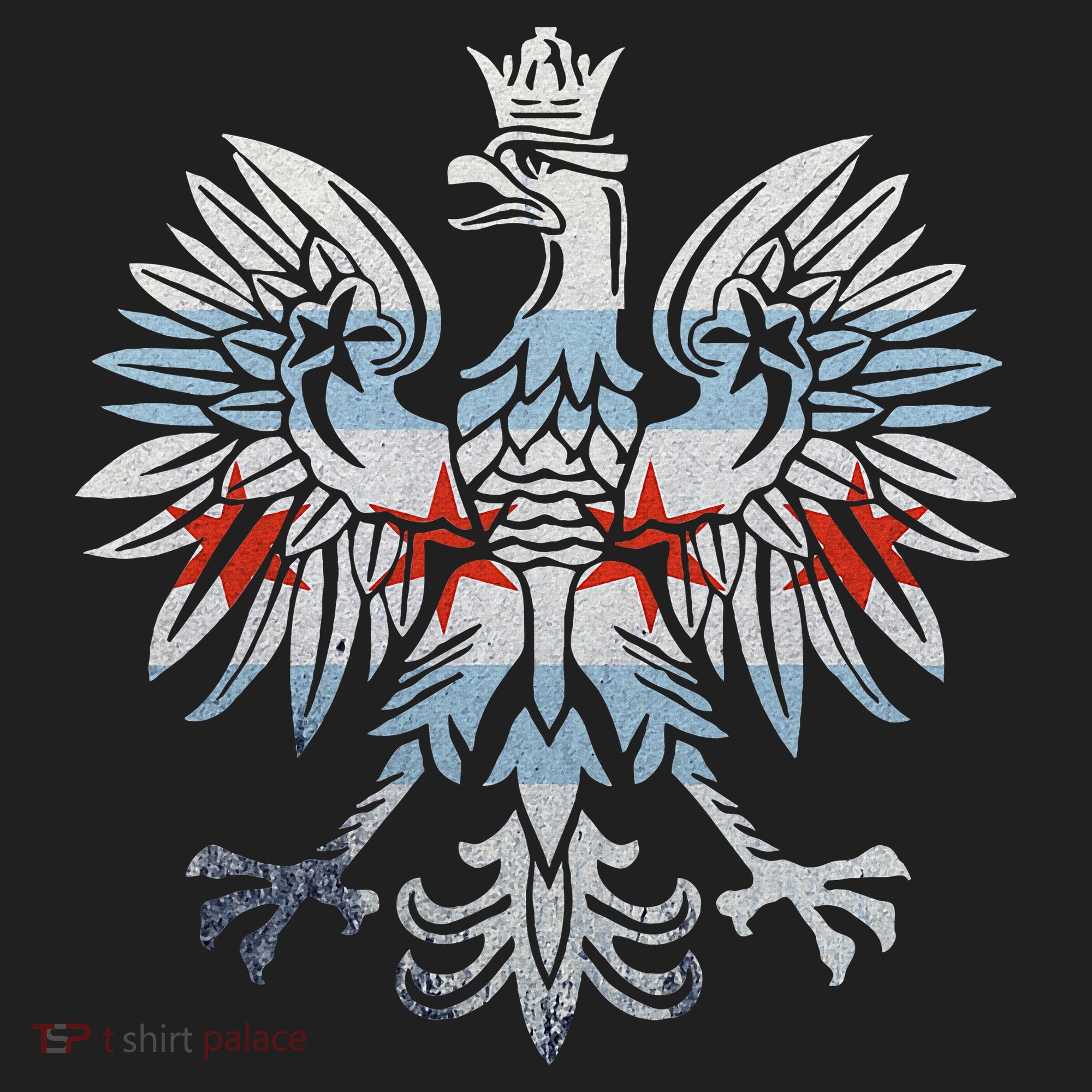 Cool Chicago Flag Polish Eagle Funny Illinois Emblem Beanie