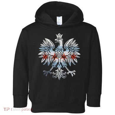 Cool Chicago Flag Polish Eagle Funny Illinois Emblem Toddler Hoodie