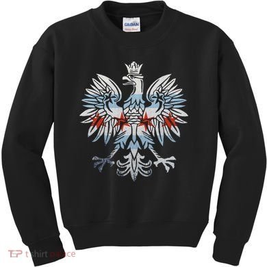 Cool Chicago Flag Polish Eagle Funny Illinois Emblem Kids Sweatshirt