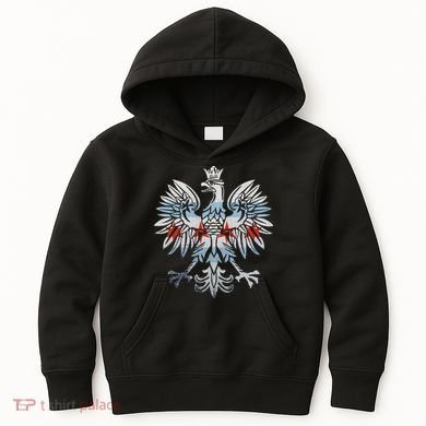 Cool Chicago Flag Polish Eagle Funny Illinois Emblem Kids Hoodie