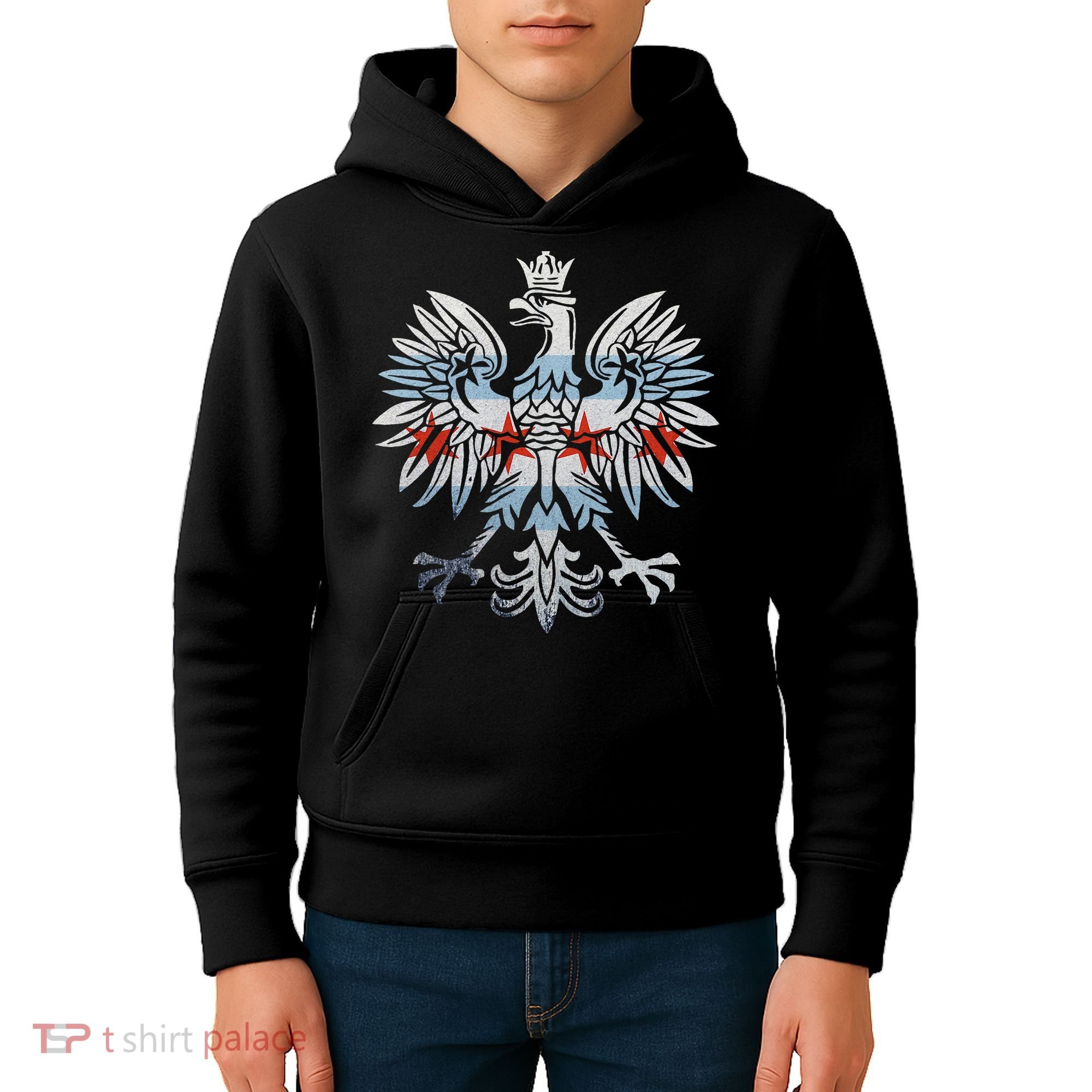 Cool Chicago Flag Polish Eagle Funny Illinois Emblem Kids Hoodie