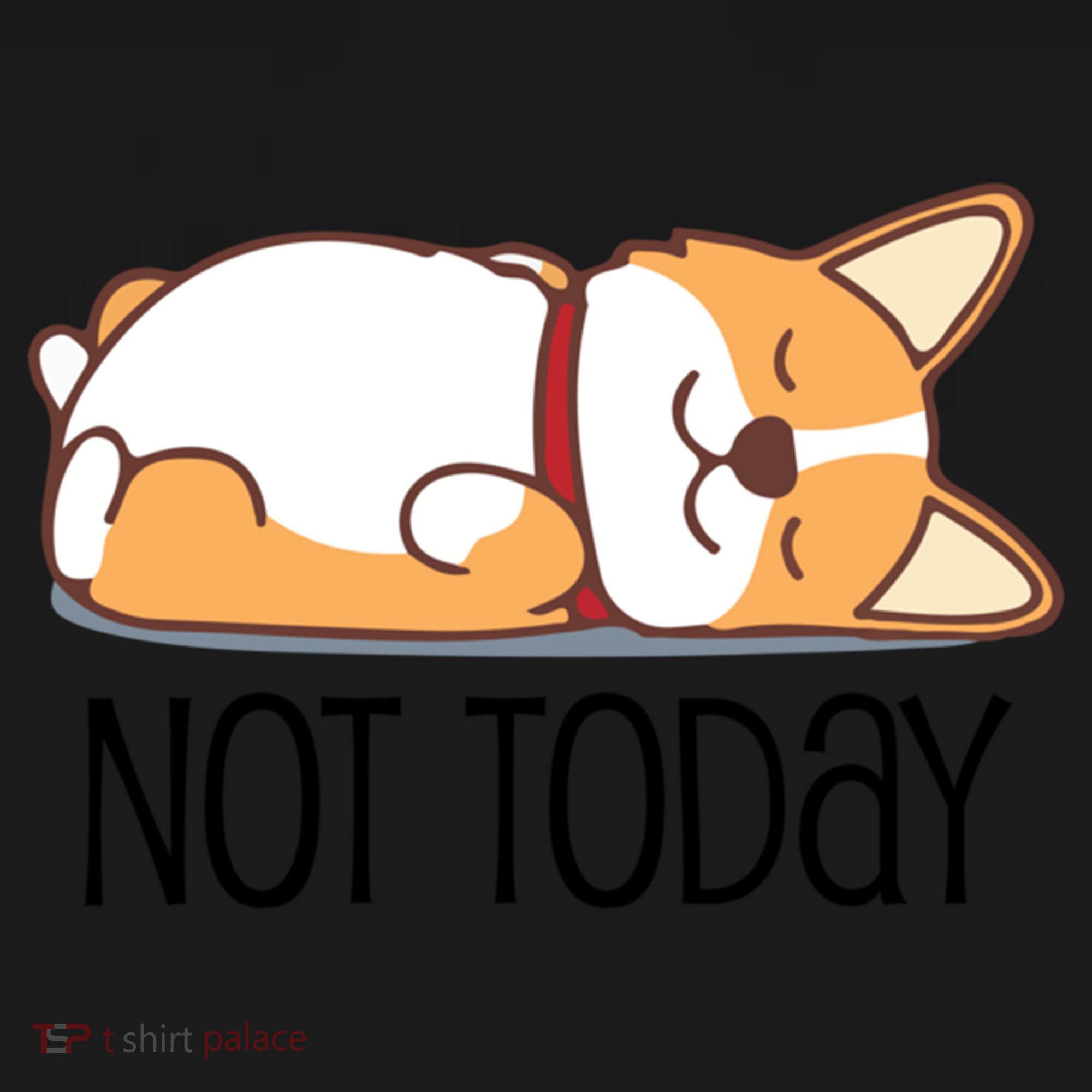 Cute Corgi Gift Funny Dog Lover Not Today Lazy Animal Gift Women's Hoodie