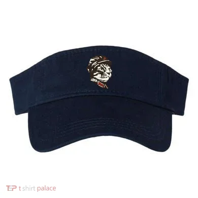 Visor