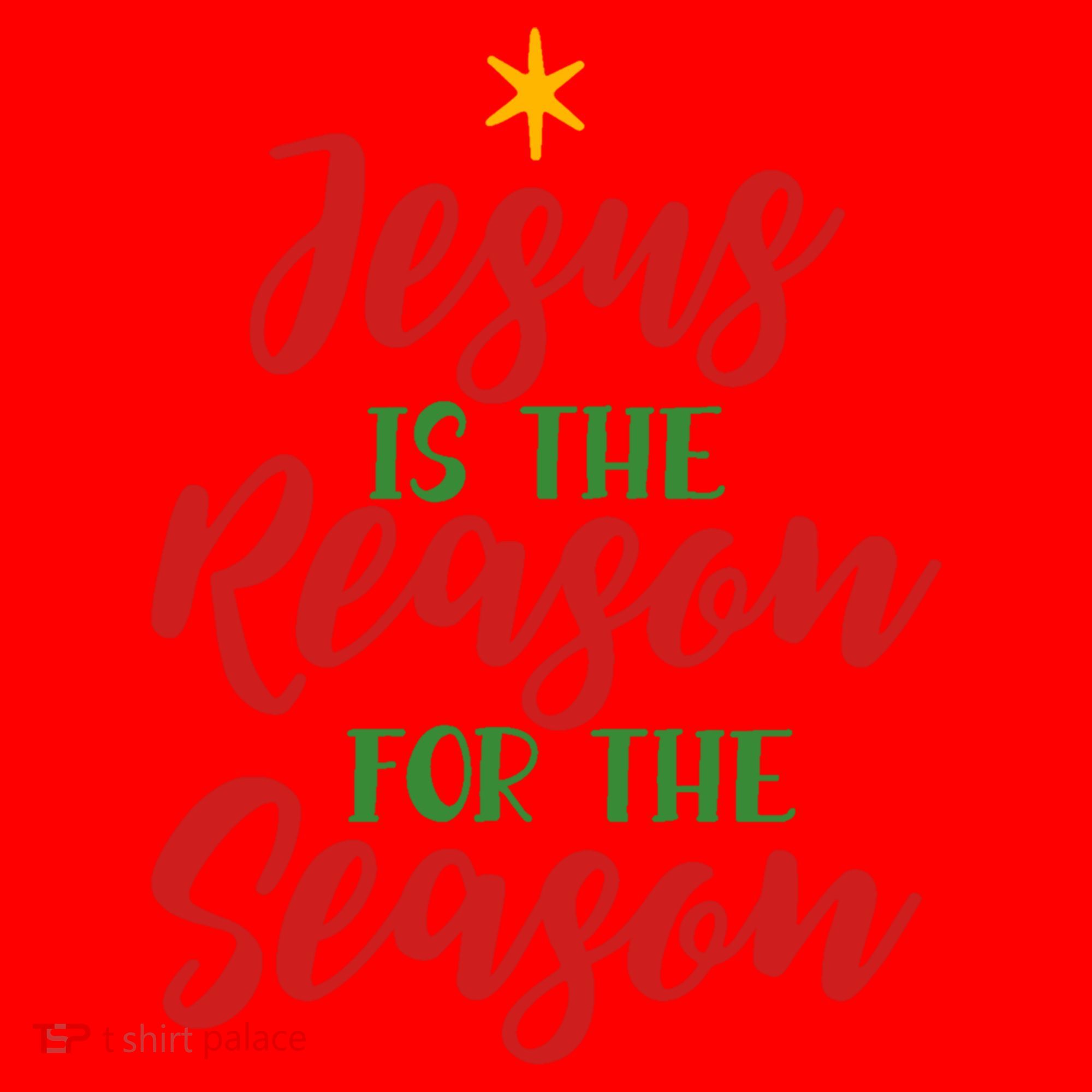 Christian Christmas Gift Jesus Is The Reason For The Season Gift Santa Hat