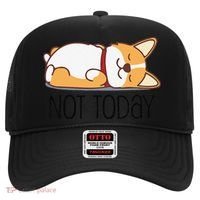 Cute Corgi Gift Funny Dog Lover Not Today Lazy Animal Short Sleeve Hat thumb 0