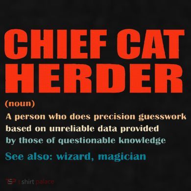 Chief Cat Herder Definition Wizard Magician Ladies PosiCharge Tri-Blend Wicking Tank